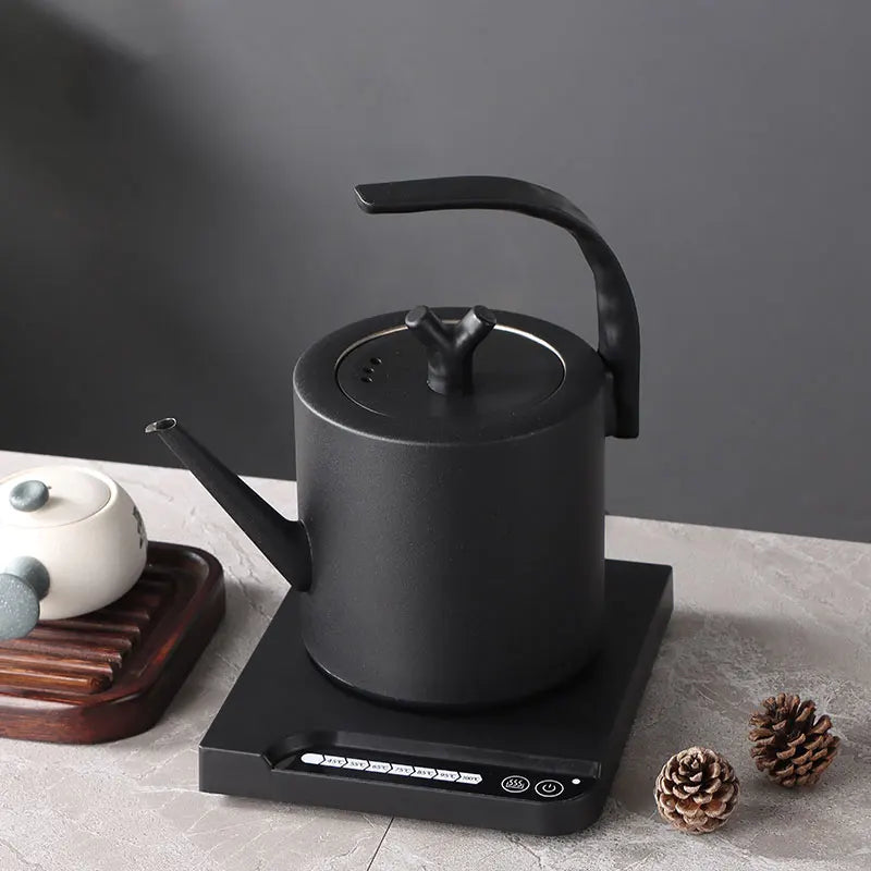 BALASHOV Gooseneck Electric Kettle 1000ml – 7-Temp Control Gooseneck Electric Kettle Axl style2 EU