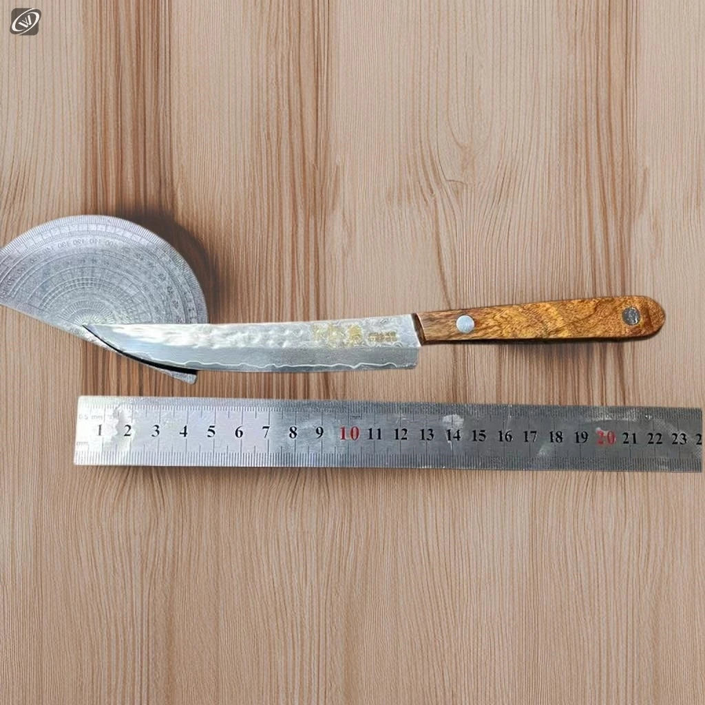 67-Layer Damascus Steel Fruit Knife – Sharp, Solid Wood Handle Damascus Kitchen Knife Axl