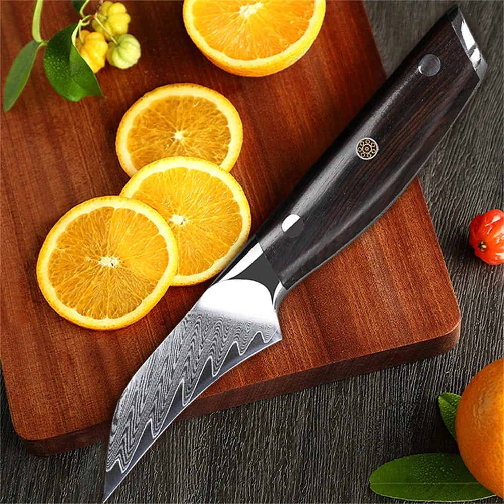 67-Layer Damascus Steel Paring Knife – Fruit Peeling Knife Damascus Paring Knife Axl Paring Knife