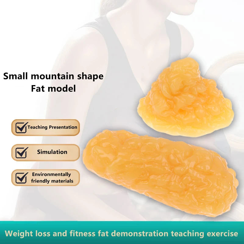 1 lb Human Fat Tissue Replica Model – Silicone Anatomy Demo Anatomical Model Axl
