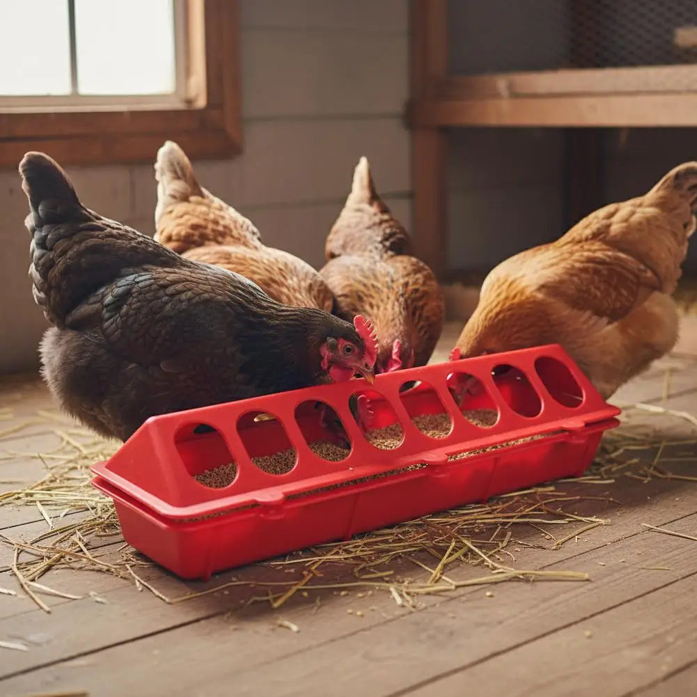 Automatic Chicken Feeder & Waterer – 16-Hole Poultry Dispenser Poultry Feeder Waterer Axl