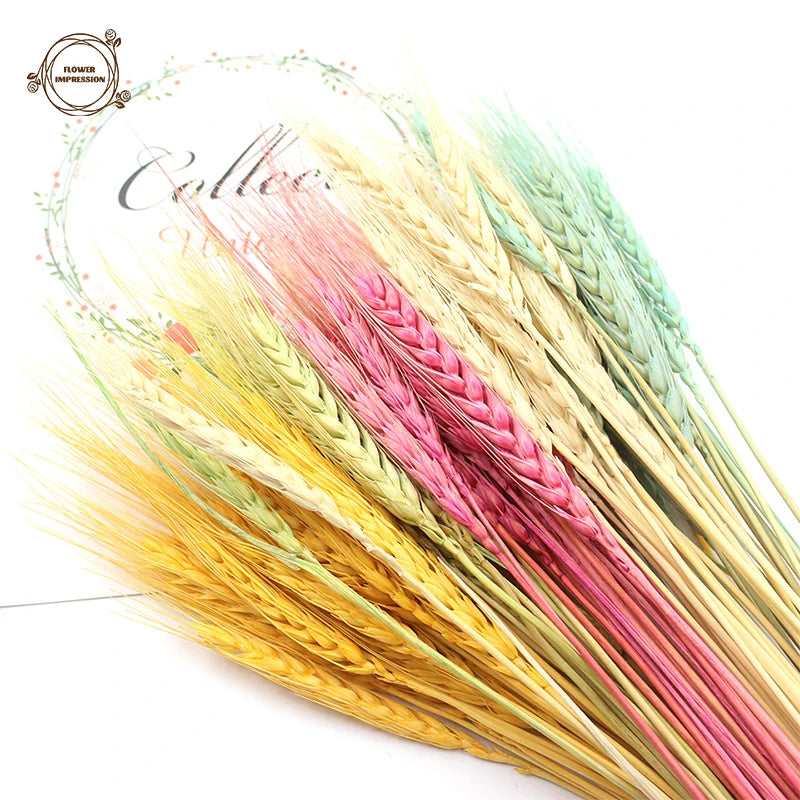 Natural Dried Wheat Spikes Bouquet – Boho Wedding & Home Decor Dried Flower Bouquet Axl