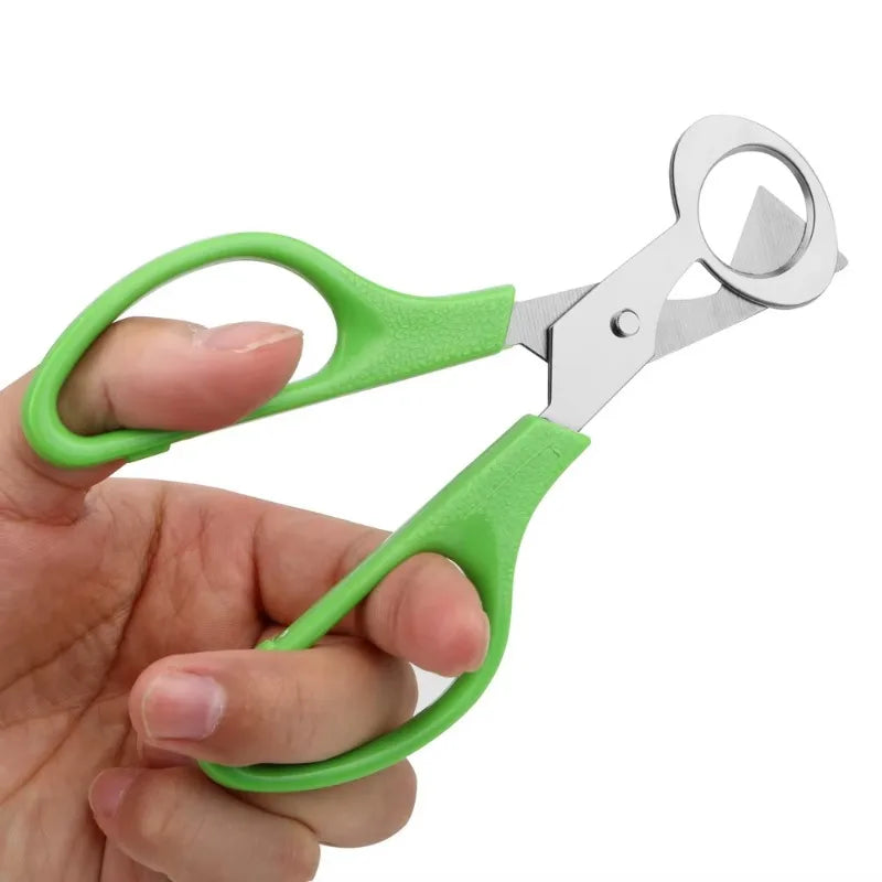 Quail Egg Shell Scissors & Cigar Cutter – Stainless Steel Egg Shell Scissors Axl