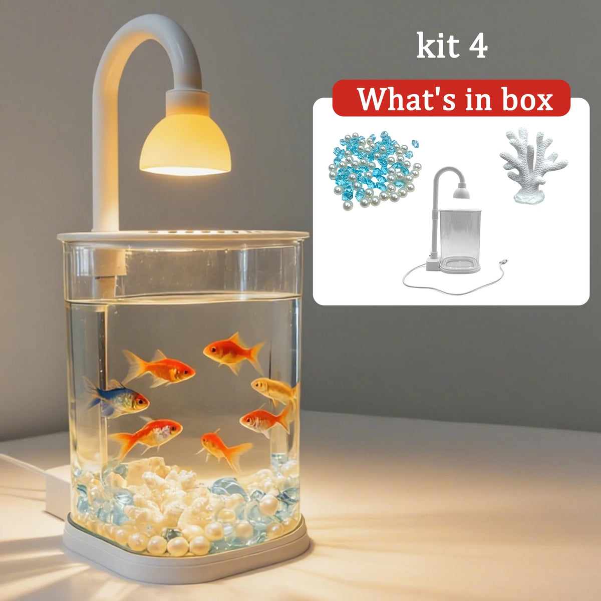 Starter Kit Small Tabletop Fish Tank with Light – Kids Gift Tabletop Fish Tank Axl Kit 4 S