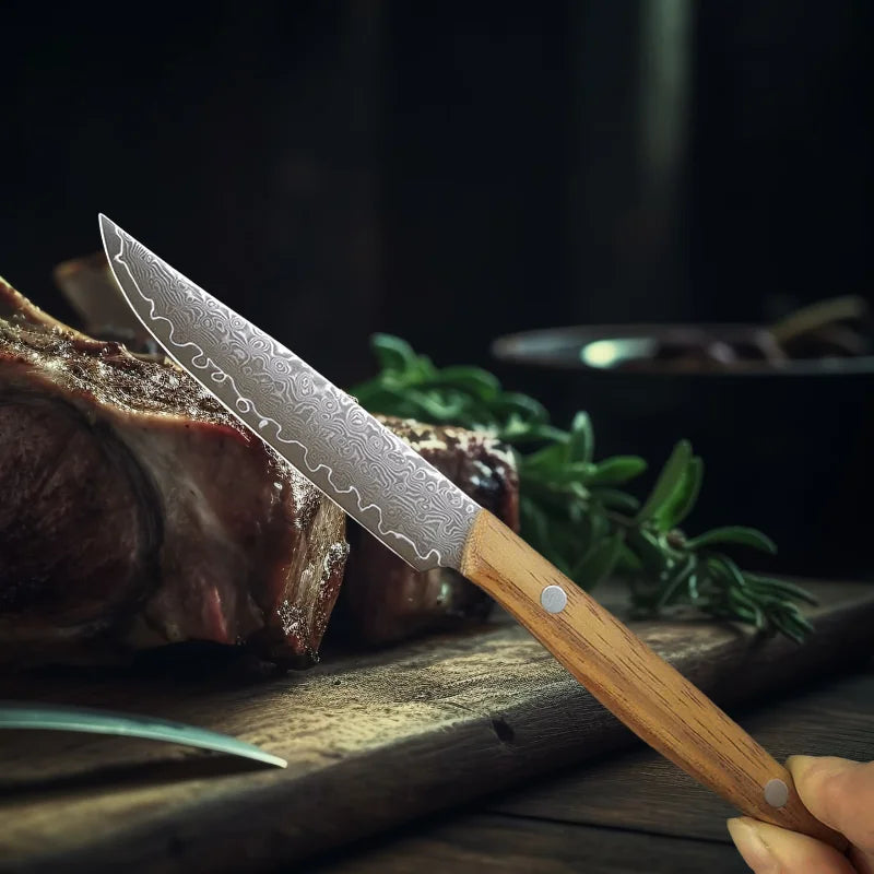 Damascus Steel Steak Knife – 67-Layer Blade & Wood Handle Damascus Kitchen Knife Axl
