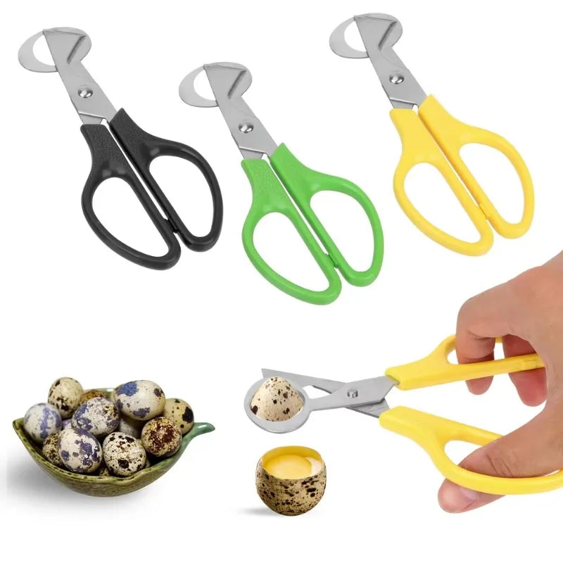 Quail Egg Shell Scissors & Cigar Cutter – Stainless Steel Egg Shell Scissors Axl