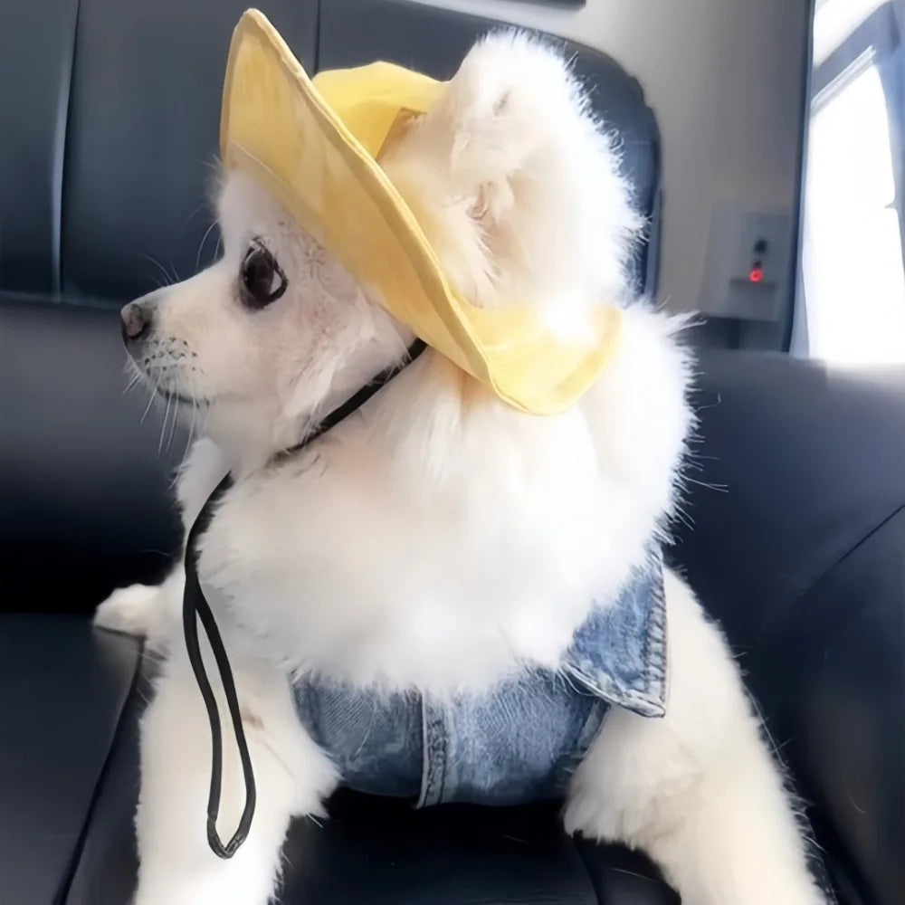 Dog Sun Hat – Breathable Polyester Cap for Small & Medium Dogs Dog Sun Hat Axl