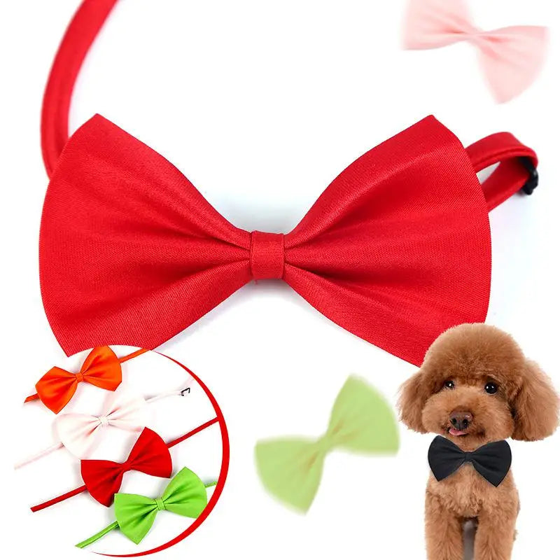 Adjustable Pet Bow Tie Collar for Dogs, Cats & Puppies Pet Bow Tie Collar Axl