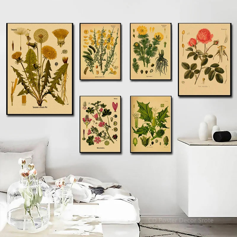Botanical Medicinal Plants Vintage Kraft Paper Poster | Wall Art Wall Art Poster Axl
