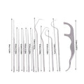 Reusable Stainless Steel Toothpick Kit – 10 Picks & Case Oral Care Kit Axl 1set