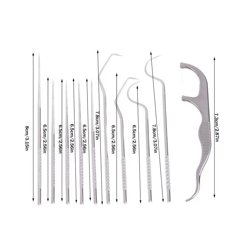 Reusable Stainless Steel Toothpick Kit – 10 Picks & Case Oral Care Kit Axl 1set