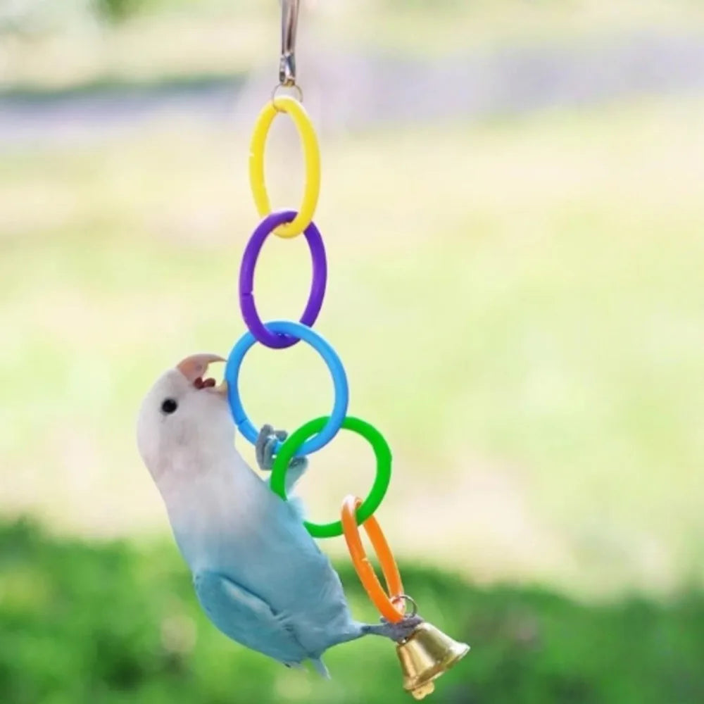 Colorful Hanging Ring Toy for Birds – Cage Swing & Climb Bird Cage Toy Axl
