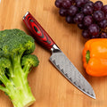 67-Layer Damascus Steel Utility Knife – Sharp Petty Chef Knife Damascus Kitchen Knife Axl Utility Knife