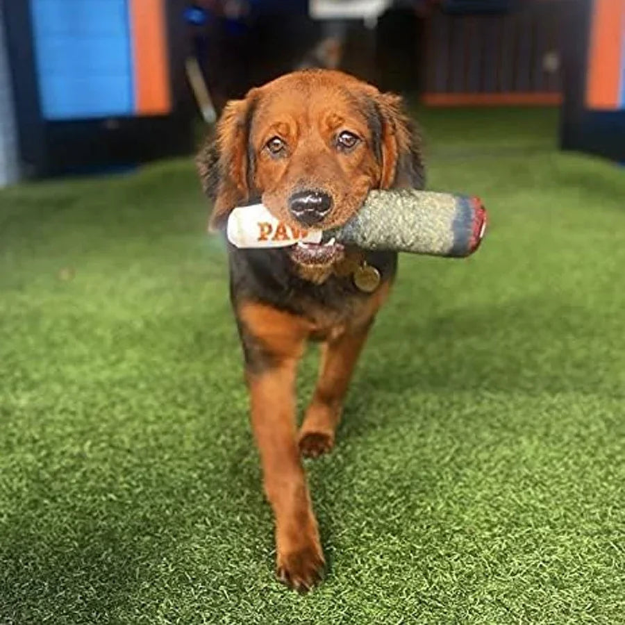 Cigar Shaped Squeaky Dog Plush Toy | Interactive Chew Toy Plush Dog Toy Axl