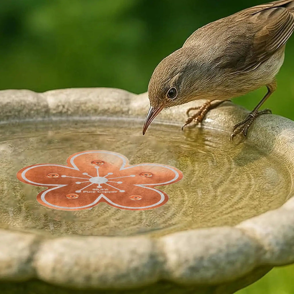 Copper Bird Bath Purifier Disk – Natural Ion Water Cleaner Bird Bath Accessory Axl