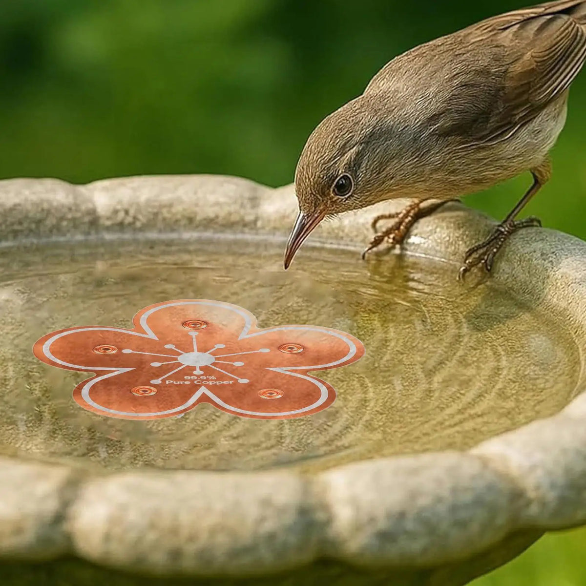Copper Bird Bath Purifier Disk – Natural Ion Water Cleaner Bird Bath Accessory Axl