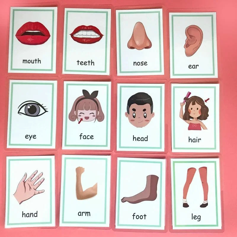 Montessori Emotion Flash Cards for Kids – 12-Piece Learning Set Educational Flash Cards Axl Body