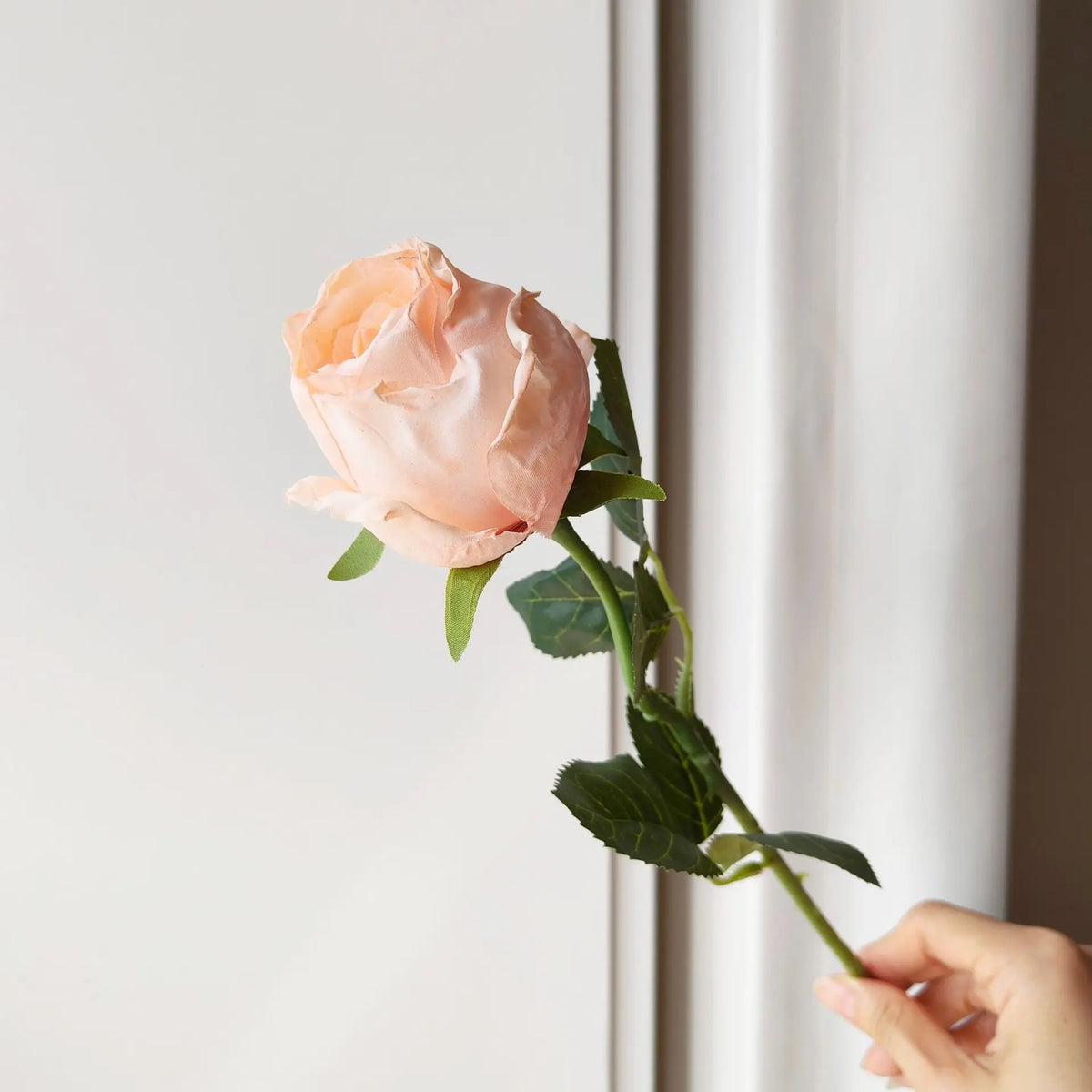 10-Pack Burnt Edge Artificial Silk Rose Stems 50cm | Faux Flowers Artificial Flower Stems Axl Champagne