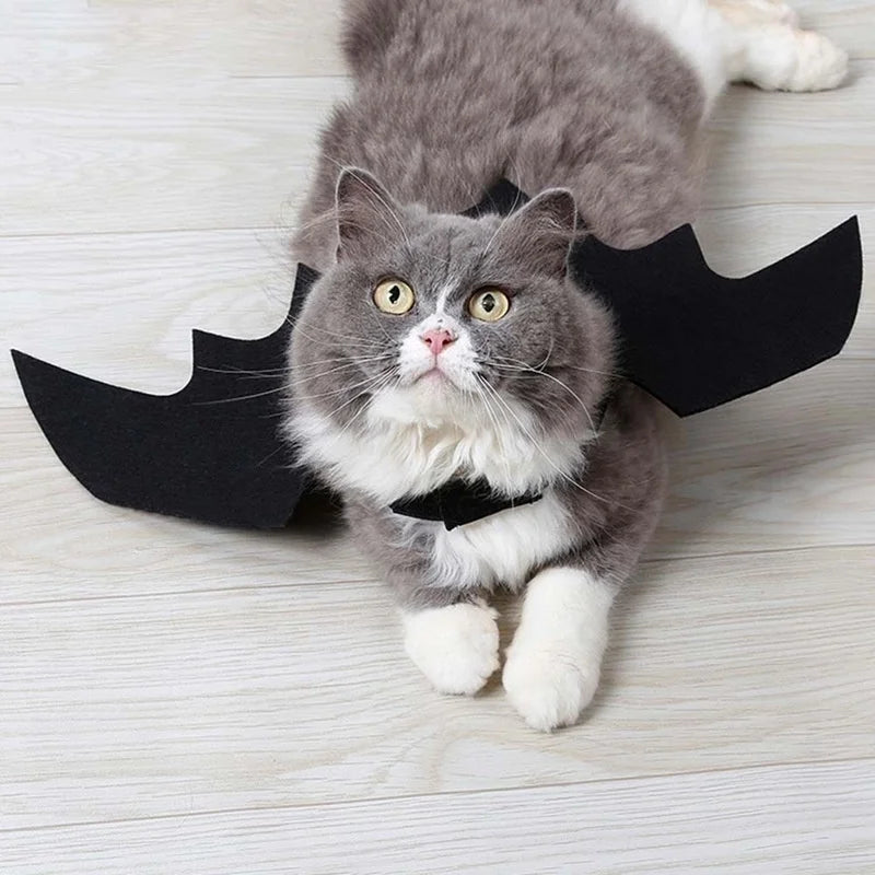 Pet Bat Wing Harness Costume – Halloween Outfit for Cats & Dogs Pet Halloween Costume Axl