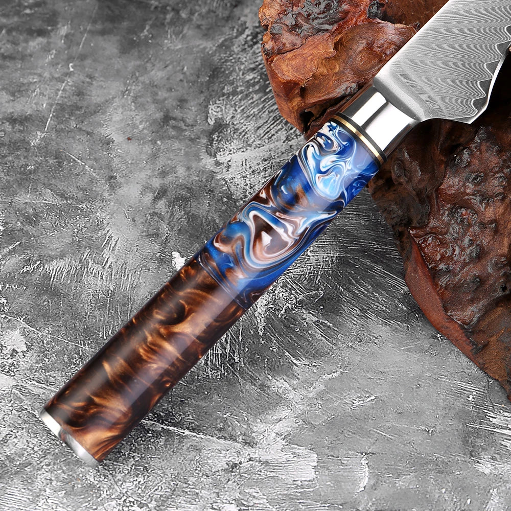 XITUO 6-Inch Damascus VG10 Boning & Fillet Knife | Resin Handle Boning Knife Axl