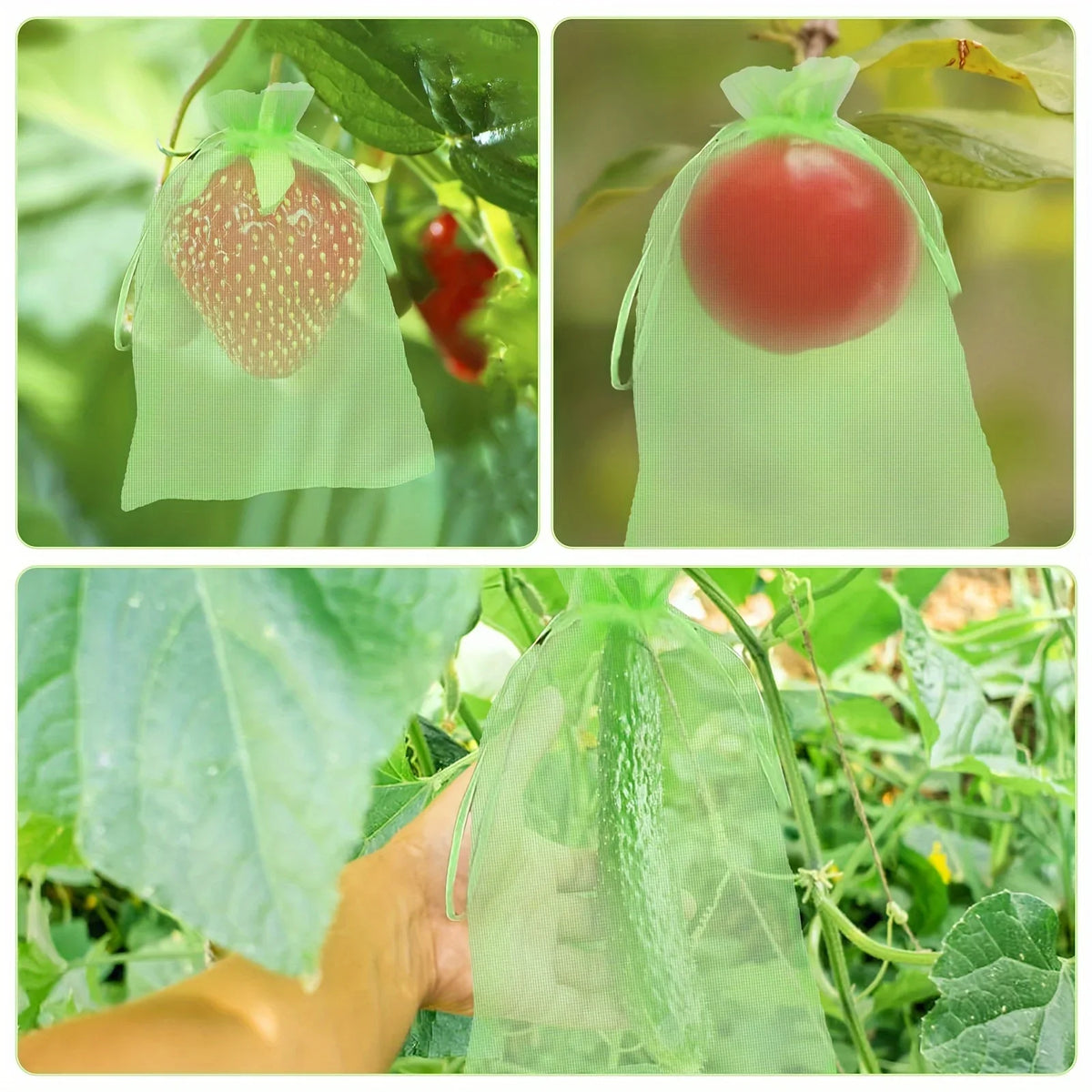10-Pack Fruit Protection Netting Bags | Garden Mesh Barrier Garden Netting Bags Axl