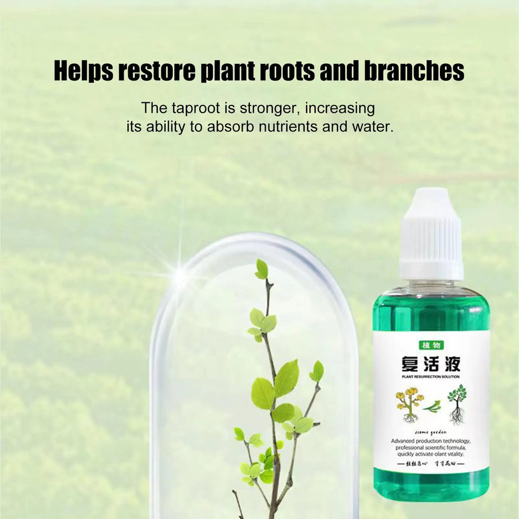 Plant Root Booster Liquid 50ml – Fast Growth Nutrient Solution Plant Root Fertilizer Axl