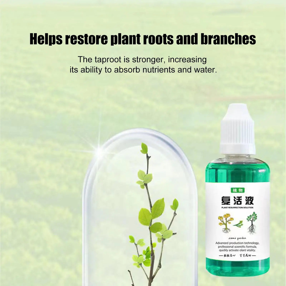 Plant Root Booster Liquid 50ml – Fast Growth Nutrient Solution Plant Root Fertilizer Axl