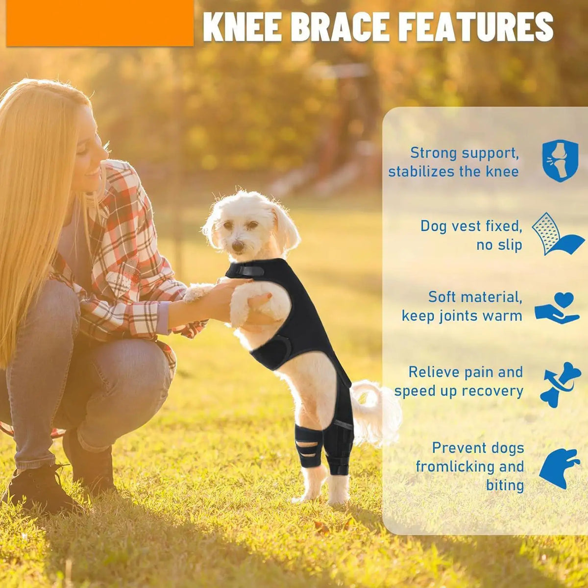 Dog Knee Brace – Adjustable Back Leg Wrap & 4 Metal Stabilizers Dog Leg Brace Axl