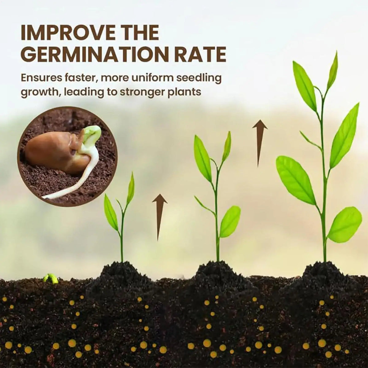 Seaweed Soil Activator – Garden Nutrient Fertilizer 60g Garden Soil Fertilizer Axl