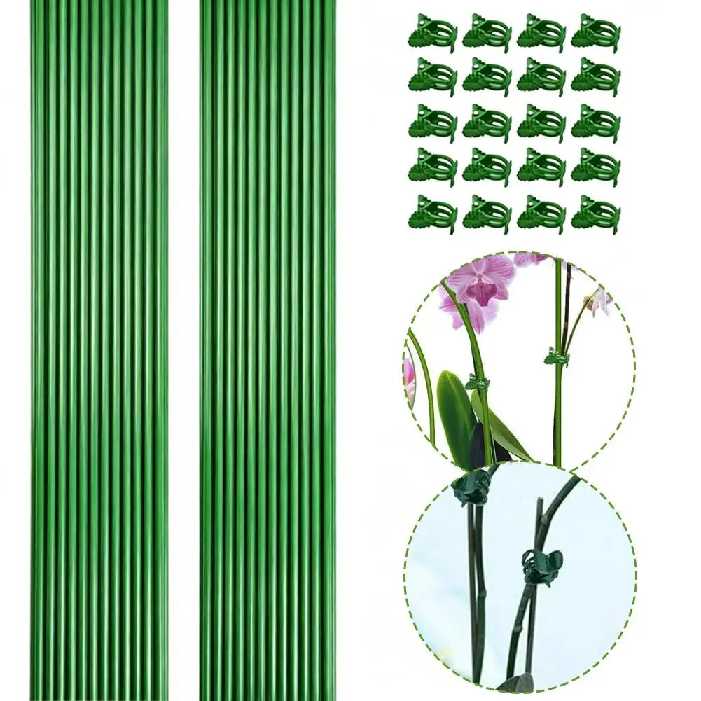 Green Plant Support Stakes & Clips – Indoor & Outdoor Plants Plant Support Stakes Axl