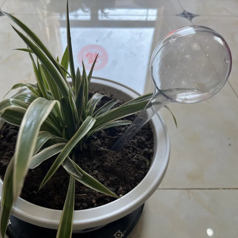 Self-Watering Plant Globe – PVC Drip Irrigation Bulb L/S Plant Watering Globe Axl L-Transparent