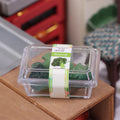 1:12 Dollhouse Mini Fruit & Vegetable Set with Clear Box Dollhouse Miniature Set Axl A1