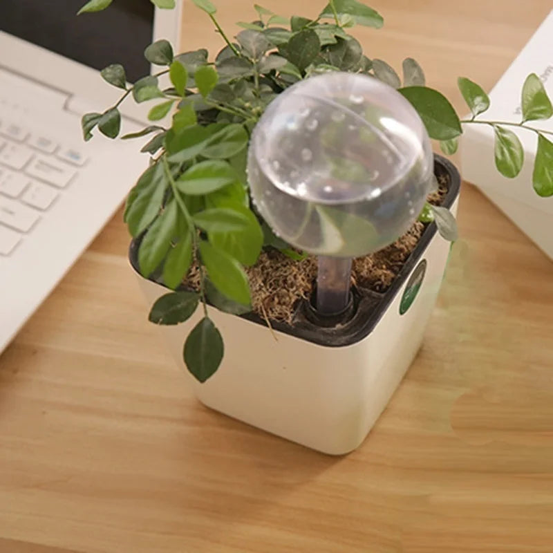 Self-Watering Plant Globe – PVC Drip Irrigation Bulb L/S Plant Watering Globe Axl S-Transparent