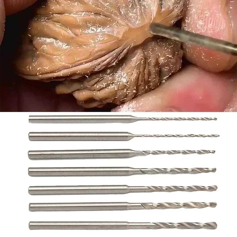 7-Piece HSS Mini Twist Drill Bits 2.35mm Shank | Wood & Craft HSS Twist Drill Bits Axl