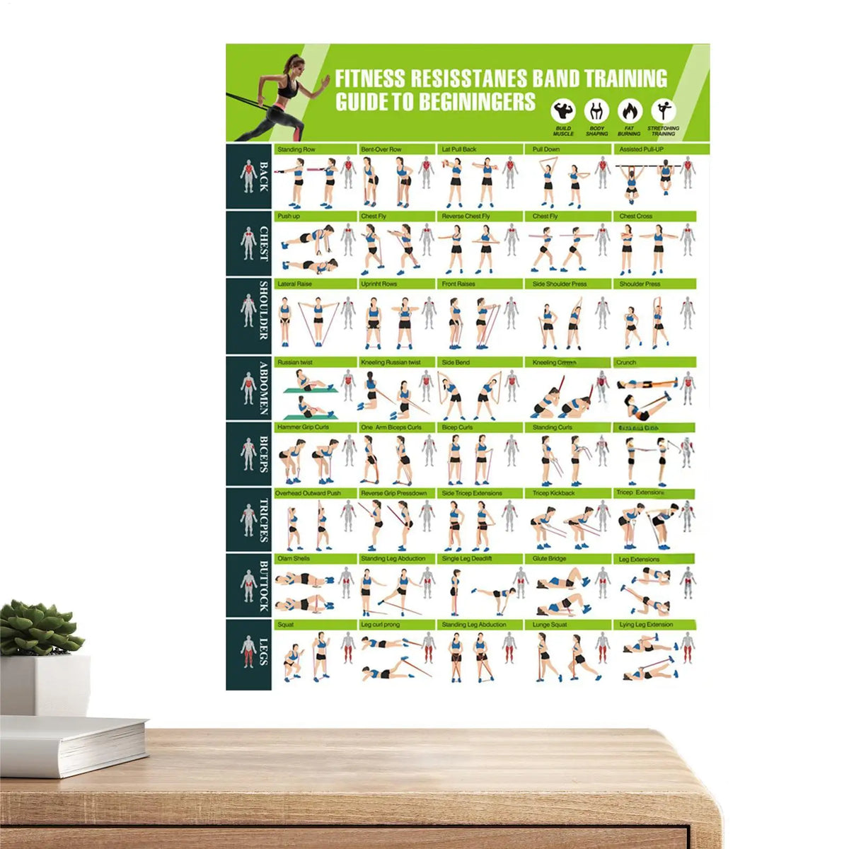 Resistance Band Workout Poster – Home Gym Exercise Wall Chart Gym Exercise Poster Axl