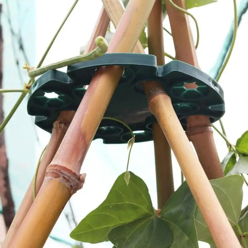 Plant Vine Climbing Support Pads – Bamboo Pole Stem Holders Plant Support Pads Axl