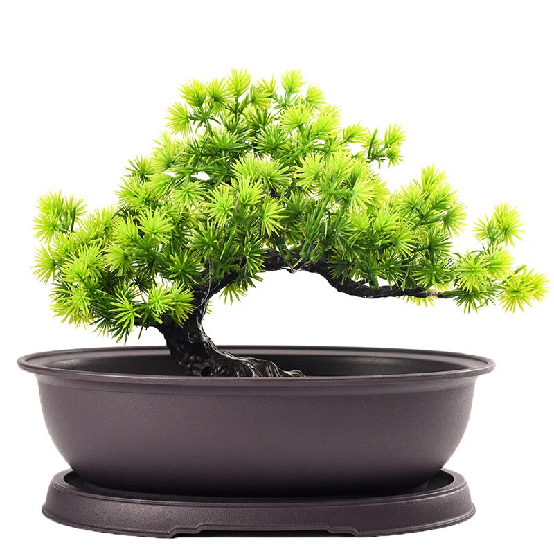 Plastic Imitation Clay Bonsai Planter Pot & Tray | Square & Rect Bonsai Planter Pot Axl