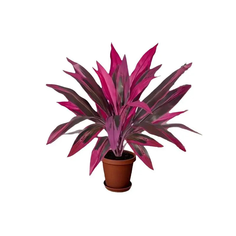 55cm Artificial Dragon Blood Tree Faux Plant Tabletop Decor Artificial Plant Decor Axl