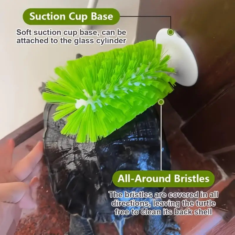 Turtle Shell Cleaning Brush & Feeding Ball | Aquarium Decor Turtle Tank Accessory Axl