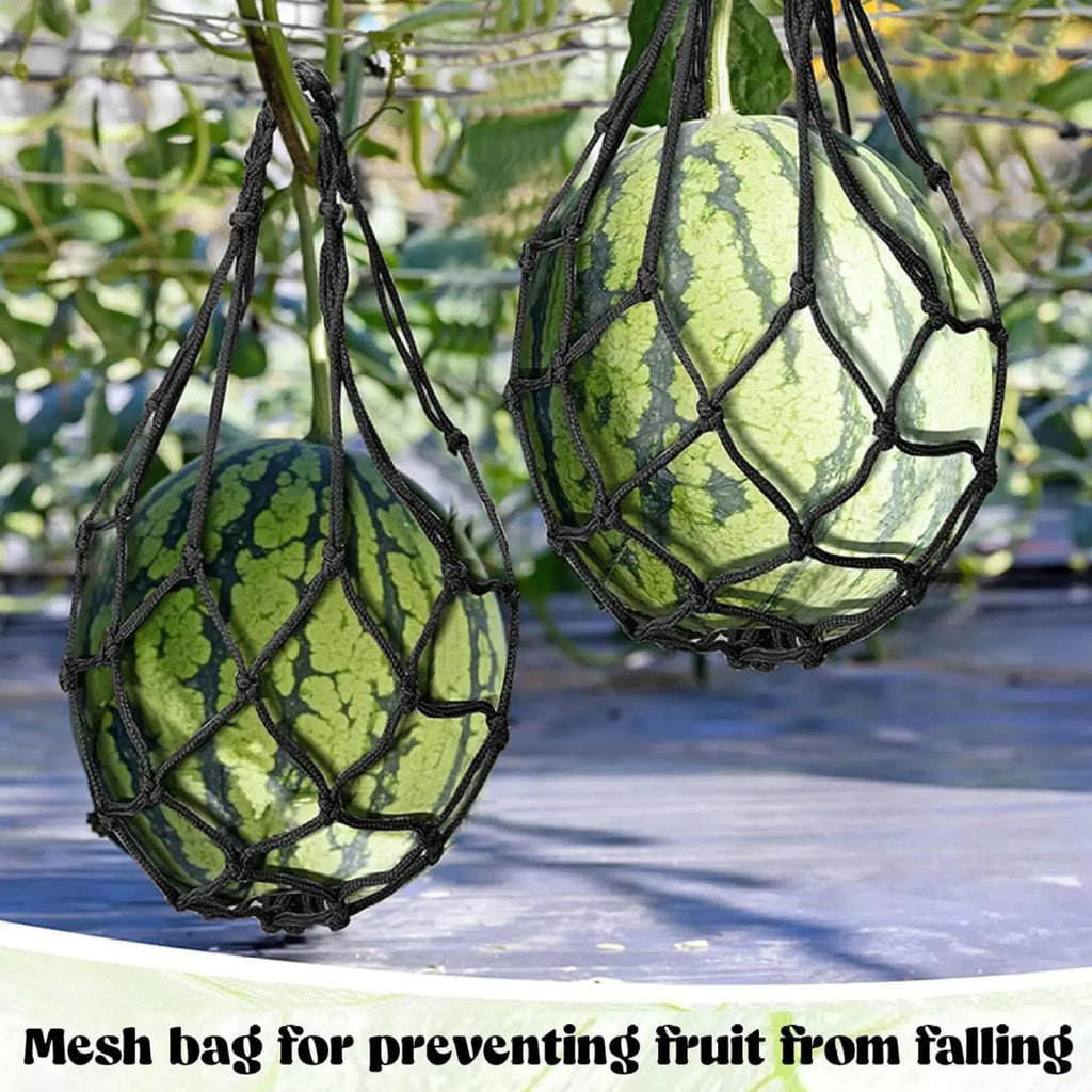 Watermelon Hammock Trellis Sling – 10-Piece Fruit Support Net Fruit Support Sling Axl