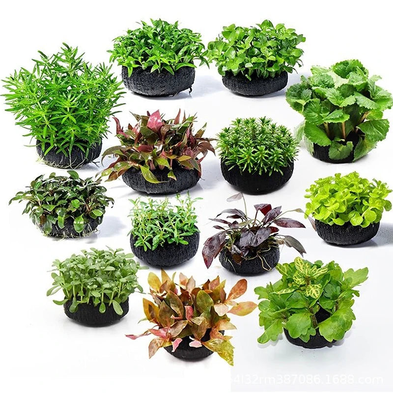 2-Pack Aquarium Plant Root Base Cups – Substrate Planting Pots Aquarium Plant Cups Axl
