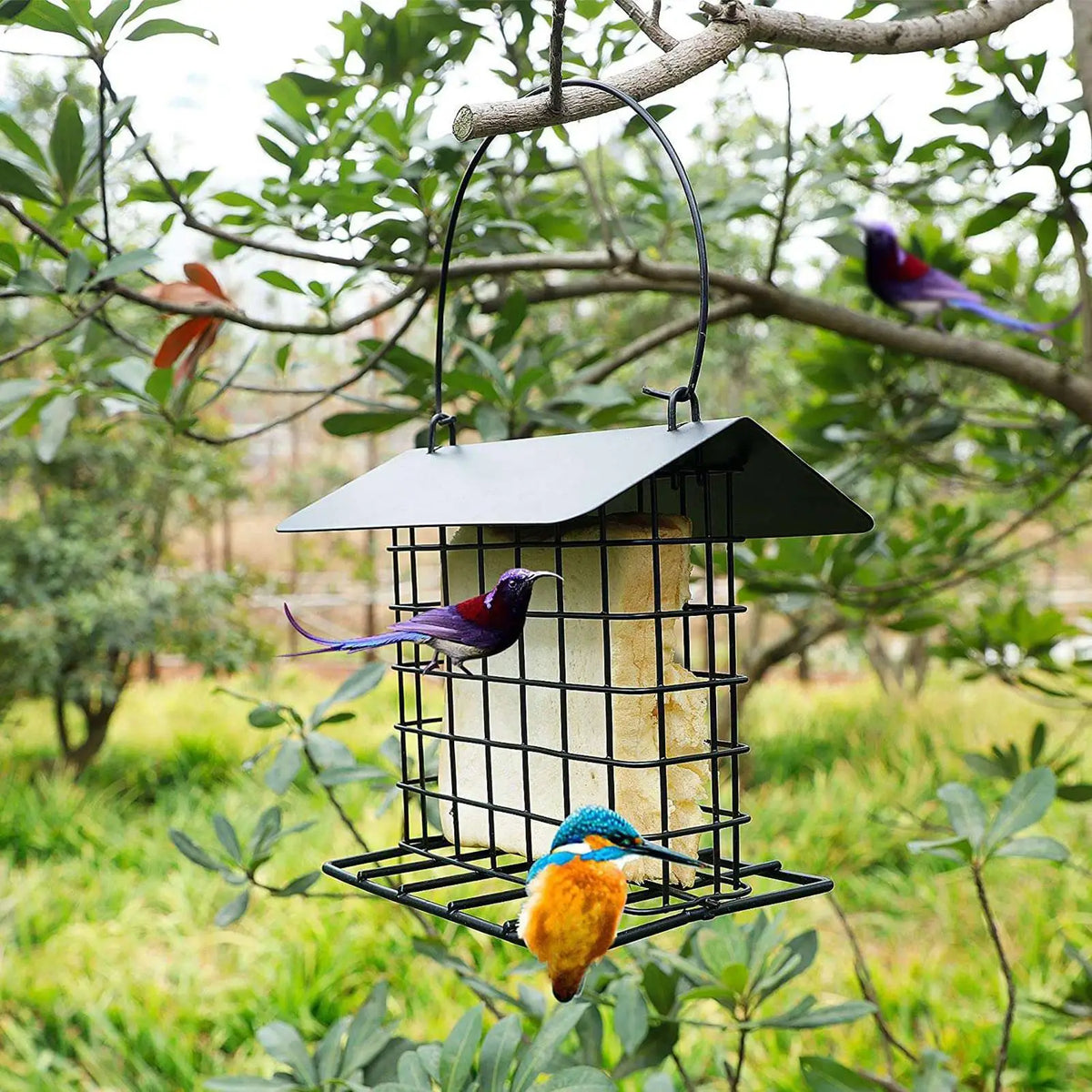 Metal Cage Suet Bird Feeder – Squirrel Proof Outdoor Station Suet Bird Feeder Axl