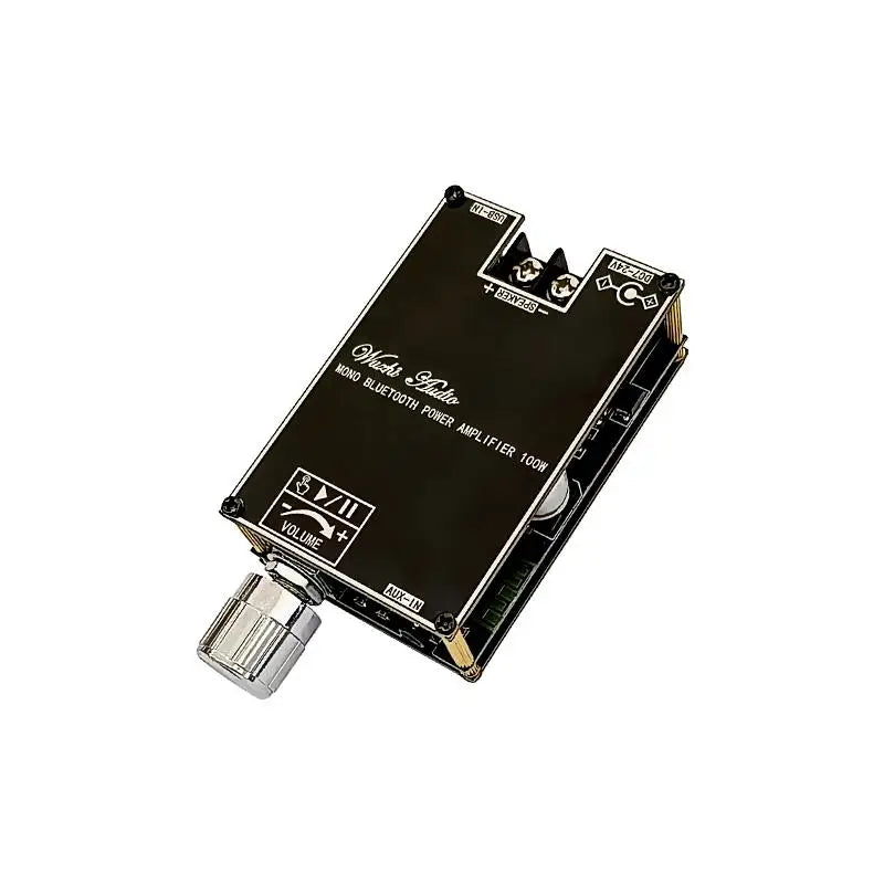 Bluetooth 5.1 TPA3116 D2 100W Mono Amplifier Module – TWS Audio Amplifier Module Axl