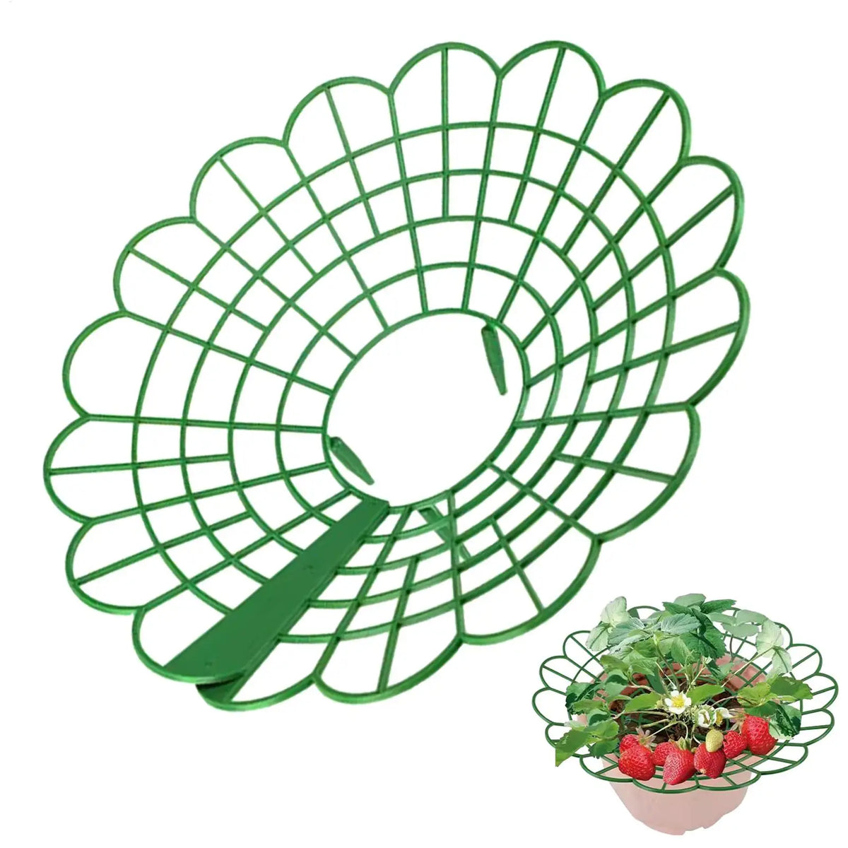 Heavy-Duty Strawberry & Watermelon Garden Support Frame Garden Support Frame Axl