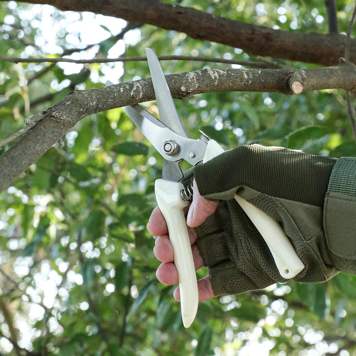SHENJIU Pruning Scissors – Professional Bonsai & Garden Trimmer Pruning Scissors Axl