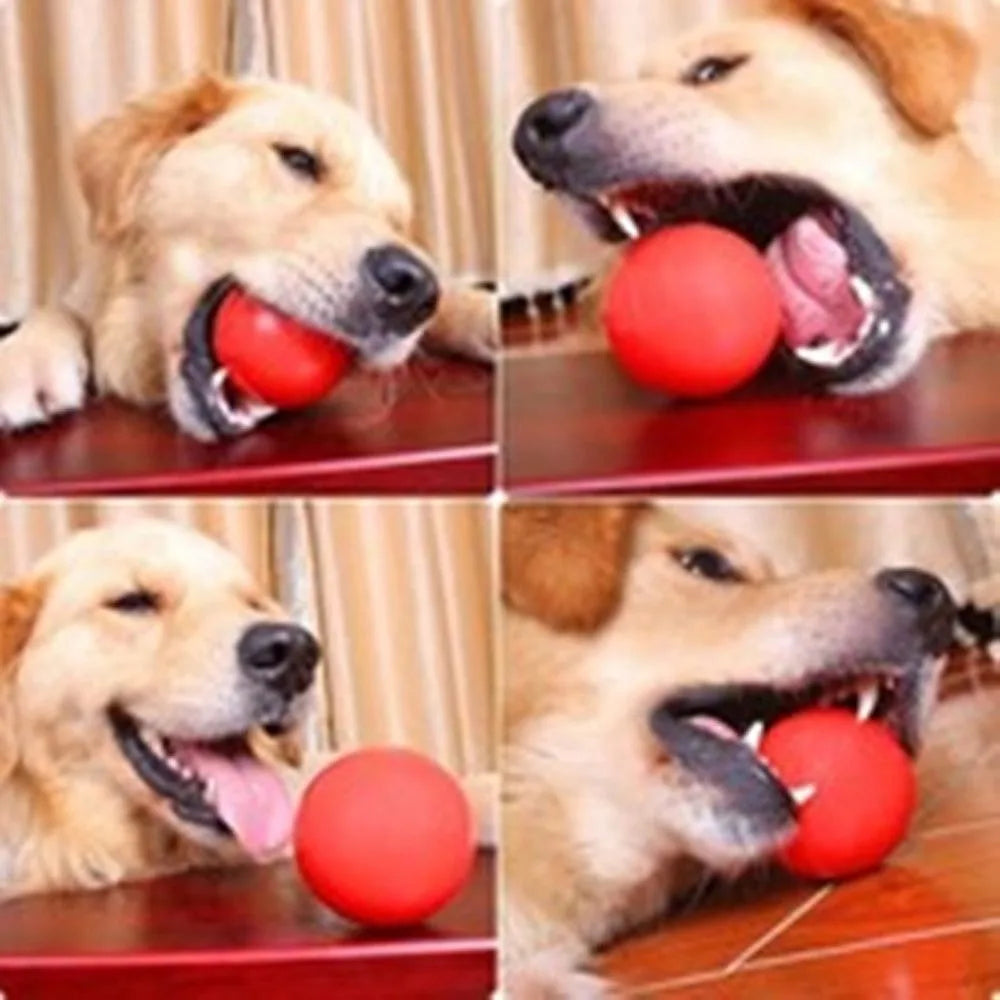 Pet Rubber Chew Ball – Dog Training Bouncy Molar Toy Dog Chew Toy Axl
