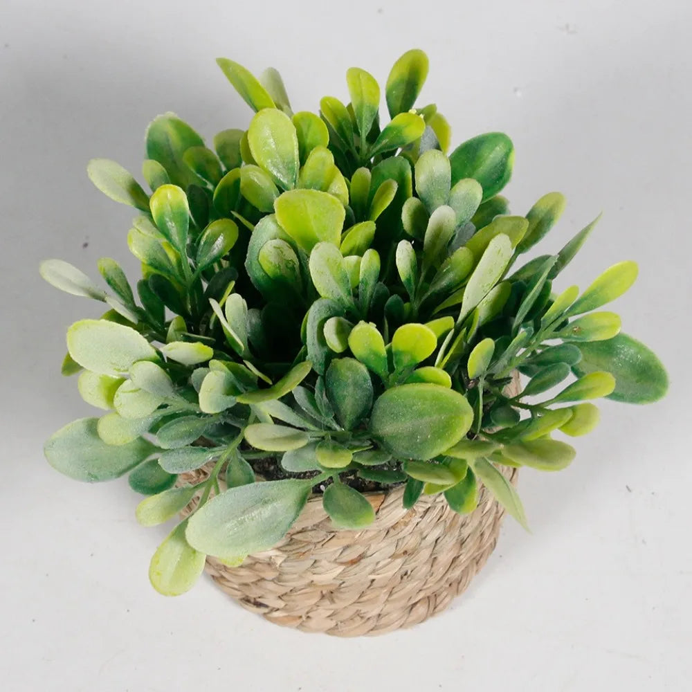 11cm Artificial Eucalyptus Potted Plant – Faux Green Decor Artificial Potted Plant Axl