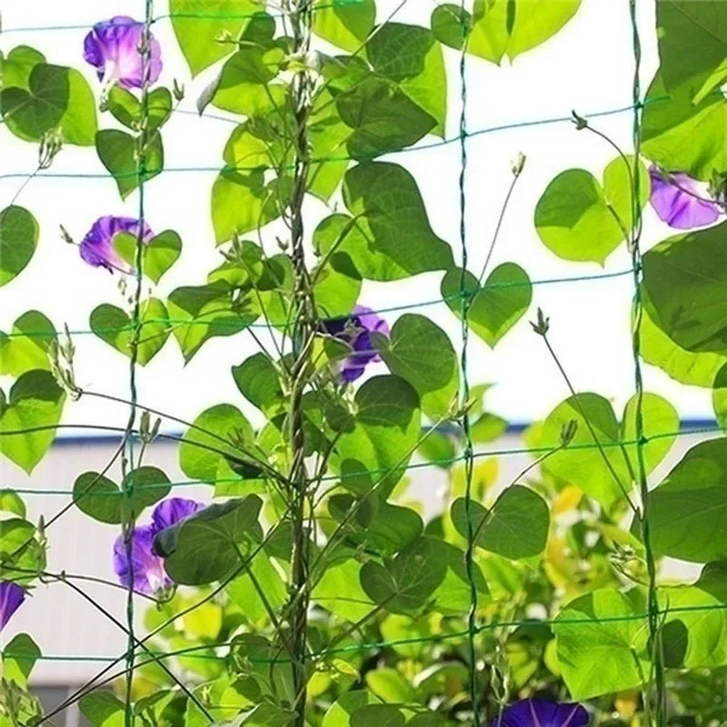 Garden Trellis Netting – Heavy-Duty Nylon Plant Climbing Net Garden Trellis Net Axl
