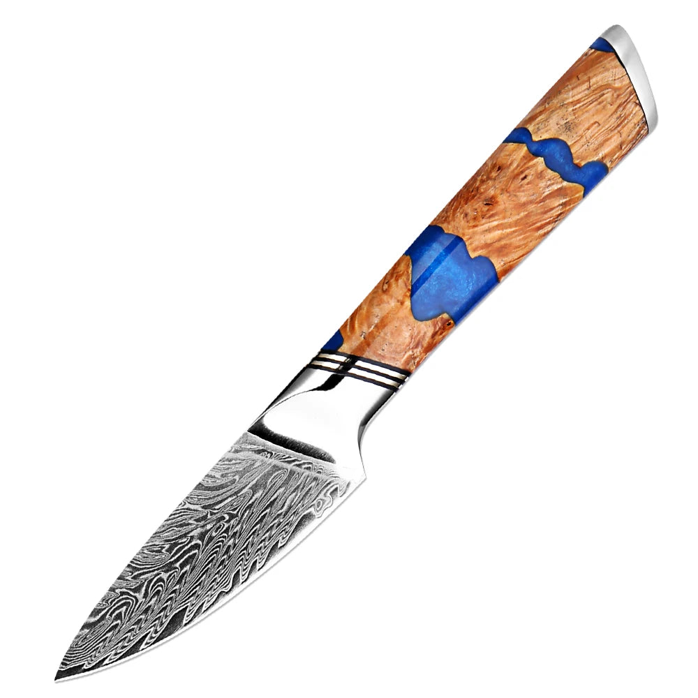 XITUO Damascus Chef Knife Set – 67-Layer VG10 Steel, 1–9 Pcs Damascus Knife Set Axl Paring knife