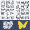 Butterfly Stick & Stitch Embroidery Transfers – 2 Sheets, 30 Designs Embroidery Transfer Sheets Axl AECH04-18869